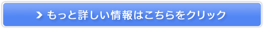 rrEVIOSg̖тyI\ {fBVg}[z̔TCg
